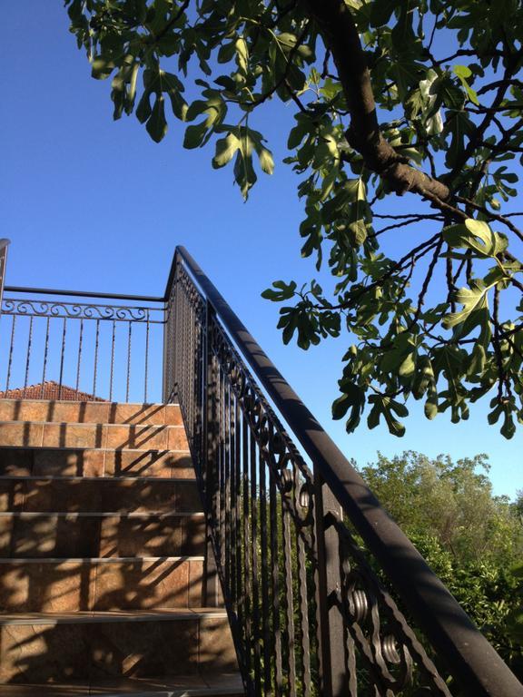 Apartmani Tivat Kaludjerovic Kamer foto